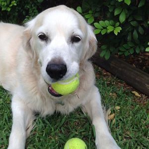 Meet your Posher, Deborah